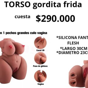 TORSO gordita 30cm